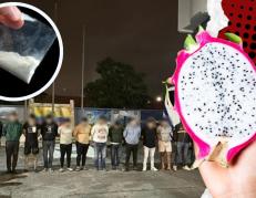 pitahaya