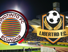 Vinotinto