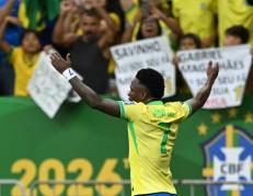 brasil vinicius