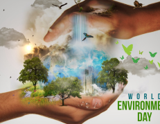 dia mundial del medio ambiente