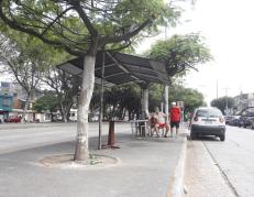 En este parterre de Sauces 5, en Guayaquil, ocurrió el asesinato.