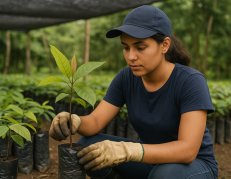 Empleo Agro Joven: conoce cómo postular para recibir hasta $ 10.000.
