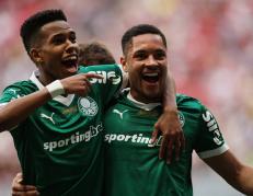 palmeiras