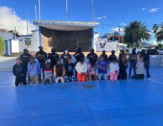 Lobos capturados en Ibarra