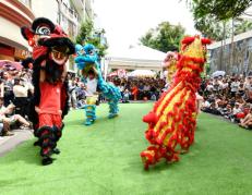 Festival en el Barrio Chino