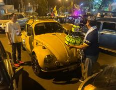 escarabajos en guayaquil
