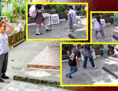 Una niña fue atacada por un perro. ¿Qué se sabe del caso?