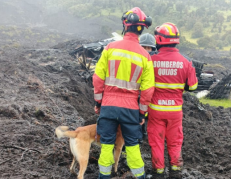 Miembros del Cuerpo de Bomberos realizan labores de búsqueda.