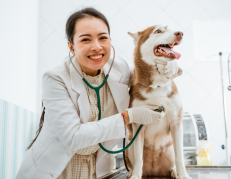 Conoce como acceder al servicio de esterilización gratuita de Municipio de Guayaquil.