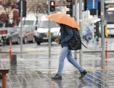 Consulta popular 2025.