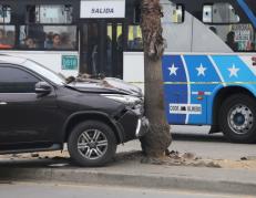 El carro de la víctima se estrelló contra un árbol encima de un parterre.