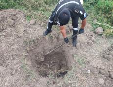 DESMEMBRADO YAGUACHI