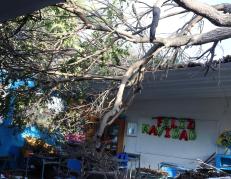Así quedó el aula de la Unidad Educativa Manuela Cañizares  donde un árbol cayó y dejó heridos a los pequeños en Santa Rosa del cantón Salinas