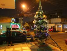 CASAS ADORNADAS EN EL SUBURBIO