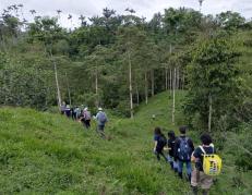 NIDO DE VIDA (15595068)