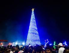 Encendida del árbol navideño en Playas.
