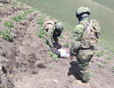 FARC abatidos en Carchi