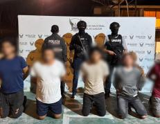 GATOS SECOS VINCULADOS A SECUESTRO