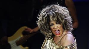 US singer Tina Turner (10628777)