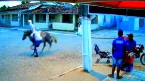 ladrones-caballo-historia-viral-video-brasil