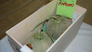 Los melones subastados en Japón.