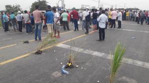 A la protesta también llevaron plantitas de arroz y las colocaron en la carretera.