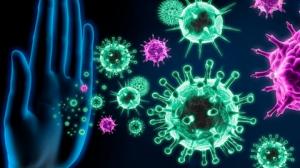 La inmunidad innata puede ser la clave para encontrar la cura para el coronavirus.