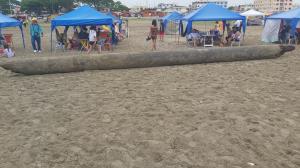 Niña murió golpeada por tronco en Playas