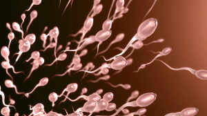 Científicos de Florida crean chip para separar los espermatozoides "buenos"
