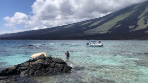 Limpieza costera Galapagos 2022 WEB