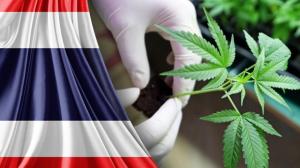 Tailandia prohíbe el consumo de cannabis en universidades tras legalizarlo
