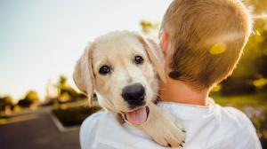 Los perros 'lloran' de alegría al reunirse con sus propietarios