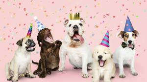 group-of-puppies-celebrating-new-year