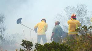 Bomberos y comuneros combaten por tres días una grave quema vegetal cerca de Cuenca