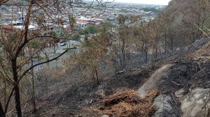 Residentes de Bellavista alarmados por incendio forestal en el cerro del sector