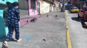 Quito - Crimen - Tiguerones