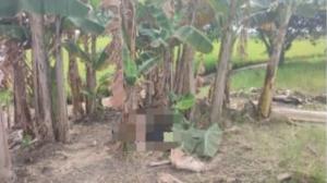 Guayas: Un ciudadano fue encontrado sin vida y con lesiones graves en Salitre