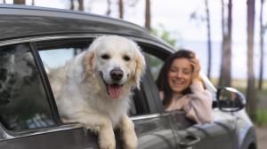 close-up-woman-with-dog-in-car