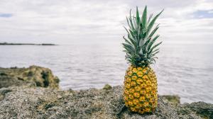 pexels-pineapple-supply-co-29555