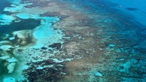 El cambio climático está alterando el color del océano