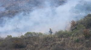 Varias hectáreas afectadas por incendios en Quito.