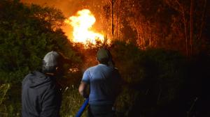 Se registró un incendio forestal en Quito.