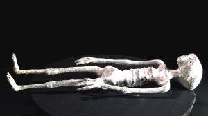 Momias de las Líneas de Nazca