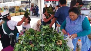 Mujeres rurales tendrán una conversatorio en Cuenca.
