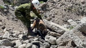 Durante el ejercicio de búsqueda en estructuras colapsadas participaron canes entrenados.