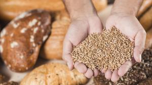 vista-aerea-manos-sosteniendo-granos-trigo-sobre-pan-horneado