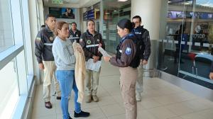 La mujer fue enviada desde Colombia vía aérea. Su llegada al Ecuador fue en el aeropuerto Mariscal Sucre, de Quito.
