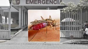 Malaria - Ecuador - Salud