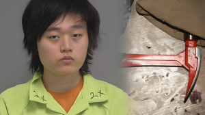 Edward Kang, de 20 años, enfrenta cargos de intento de homicidio.