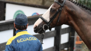 El jinete ecuatoriano Ronald Zabala representará a Ecuador en los JJ.OO. 2024.